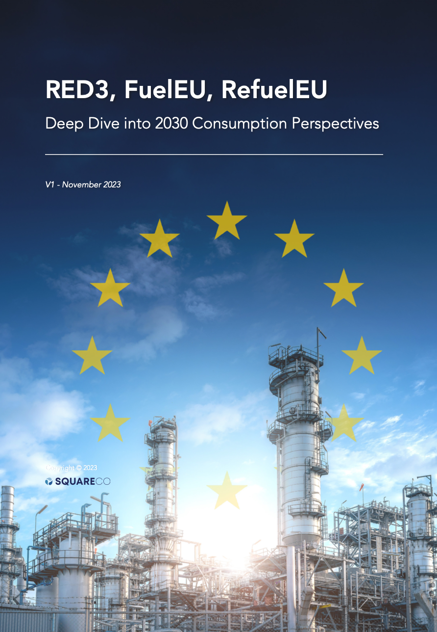 Perspective EU 2030 Cover